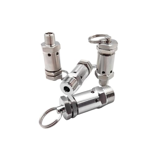 1 Stück 1/4"1/2" BSPT NPT männliches Federsicherheitsventil 0,05-1 MPa Auspuff 304 Edelstahl Sanitär Geeignet for Kompressoren(DN20,0.5INCH_BSPT) von YMSJQTFF