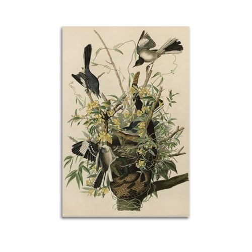 YMXSDIMDS John James Audubon Mocking Birds And Snake II Gemälde Kunst Poster Kunst Leinwand Malerei Dekor Wanddruck Foto Zuhause Moderne Dekorationen 40 x 60 cm YMXSDIMDS John James Audubon Mocking Birds And Snake II Gemälde Kunst Poster Kunst Leinwand Malerei Dekor Wanddruck Foto Zuhause Moderne Dekorationen 40 x 60 cm von YMXSDIMDS