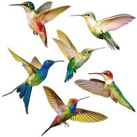 Stück Kolibri-Aufkleber, Vogel-Fensteraufkleber, Antikollisions-Glasaufkleber, PVC-Wandaufkleber mit Kolibri-Muster für Fenster, Wohnzimmer, Büro von YMYNY