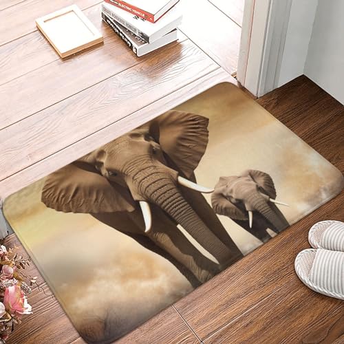 YNCATXZ Elefant und Baby Elefant Fußmatte 40 x 60 cm rutschfeste Indoor Outdoor Matte Willkommen Matte Waschbar Türteppich für Eingangsbereich Fußmatten Saugfähige Flanell Badematten von YNCATXZ