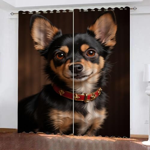 YNIOFU Hund Verdunkelungsvorhänge, süßer Chihuahua Schlafzimmer Gardinen,Tier Hund Thermoisolierung Raumverdunkelung, Welpe Fenster Vorhänge B 100 x H 160cm 2 Paneele von YNIOFU