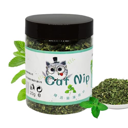 YNPQTDS Catnip Bio-Katzennip für Katzen | Catnip für Katzen und Kätzchen, interaktiv, beruhigende Unterhaltung, attraktiv für Kätzchen im Innenbereich, Futter-Set von YNPQTDS