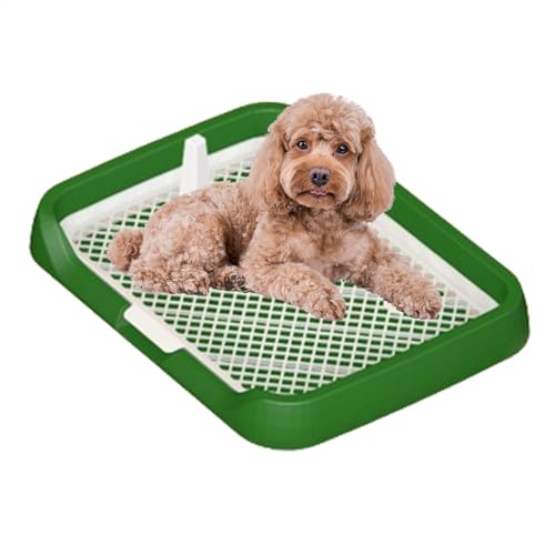YNPQTDS Hundetoilette mit Netzgittern, Hunde-Toilettenschale, Welpenpinkelsystem, Töpfchentablett, 47 x 36 x 5,5 cm, waschbares Töpfchen für kleine Hunde und Welpen YNPQTDS Hundetoilette mit Netzgittern, Hunde-Toilettenschale, Welpenpinkelsystem, Töpfchentablett, 47 x 36 x 5,5 cm, waschbares Töpfchen für kleine Hunde und Welpen von YNPQTDS