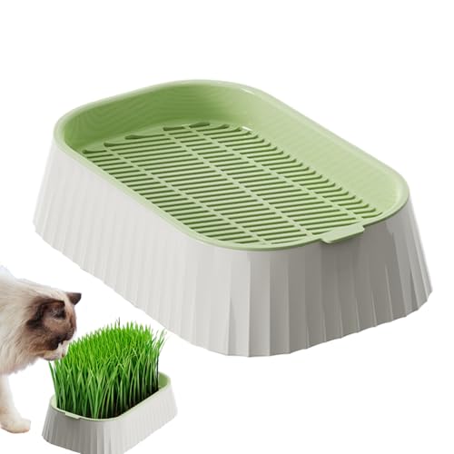 YNPQTDS Katzentopf, Hydrokultur- für Katzen – Anzuchtbox mit doppelter Etage, für Hydrokultur-Pflanzung von Weizen, gesund im Innenbereich YNPQTDS Katzentopf, Hydrokultur- für Katzen – Anzuchtbox mit doppelter Etage, für Hydrokultur-Pflanzung von Weizen, gesund im Innenbereich von YNPQTDS