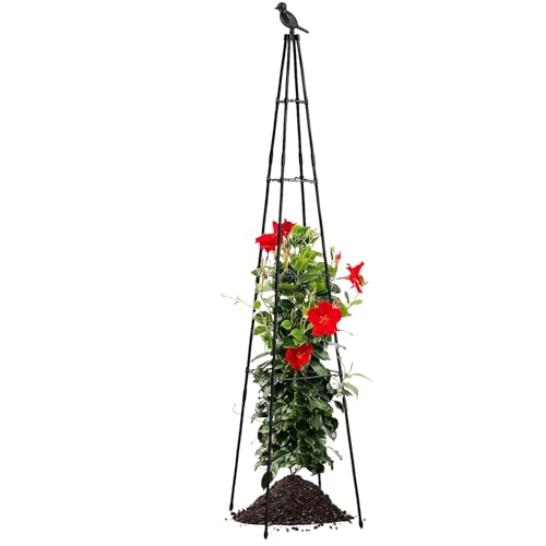 YNPQTDS Rankgitter Für Kletterpflanzen Outdoor - Erbsenspalier,Höhenverstellbares Metallgitter Gartenzubehör Pflanzenhalter für Weinreben Erbsen Bohnen Kletterpflanzen von YNPQTDS