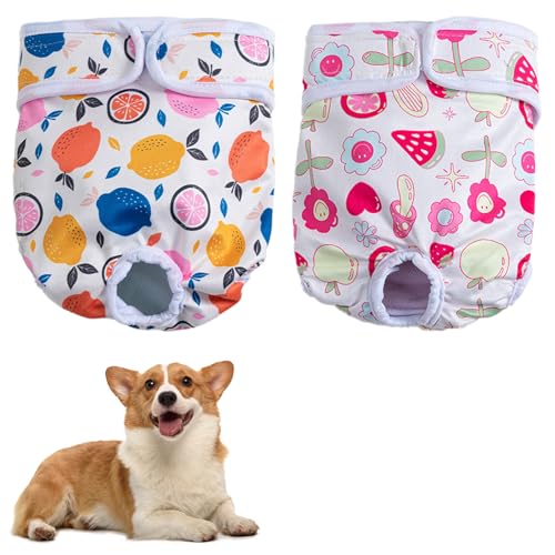 Wiederverwendbare Windeln für Hündinnen für die Saison, waschbare Hündinnen, Hundewindeln, sehr saugfähige Hundewindeln für Hündinnen bei Hitze, inkontinente Welpen, Menstruation, 2 Stück von YNR