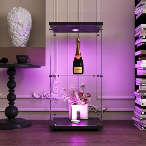 YNYHTER Glasvitrine Standvitrine LED, 1 Türen 2 Etagen Vitrine mit Glas Vitrinenschrank Led mit Schloss Sammlervitrine Glasvitrine Stehend (Schwarz, 1 Tür 2 Etagen LED) von YNYHTER