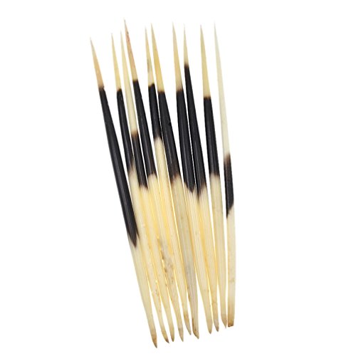 YNuth Set mit 10 Stück Stachelschwanzfedern Bastelzubehör Länge 20-22 cm von YNuth