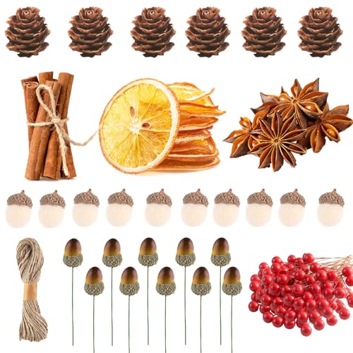 260-teiliges Weihnachtskranz-Bastelzubehör, getrocknete Orangenscheiben,Sternanisund Zimtstangen, künstliche Beeren, Eicheln, Mini-Tannenzapfen-Set,Weihnachtskranz-Zubehör, DIY-Bastel-Party-Dekoration 260-teiliges Weihnachtskranz-Bastelzubehör, getrocknete Orangenscheiben,Sternanisund Zimtstangen, künstliche Beeren, Eicheln, Mini-Tannenzapfen-Set,Weihnachtskranz-Zubehör, DIY-Bastel-Party-Dekoration von YODEN