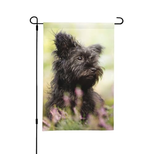 Affenpinscher Rasen Schwarze Hunde Monkey Terrier, 12x18 Zoll doppelseitige Sommergarten-Flagge für draußen von YOFIEN