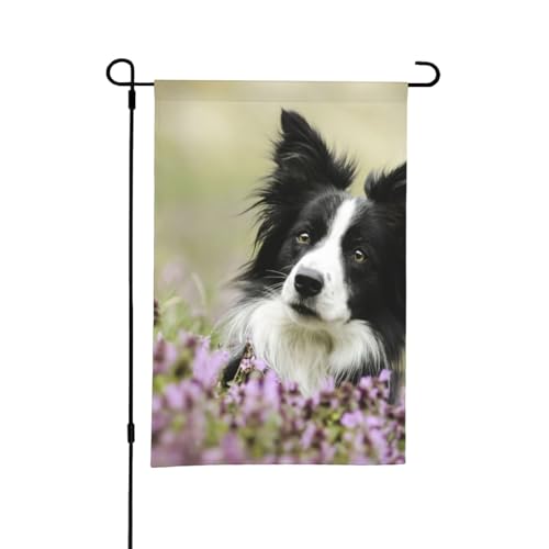Border Collie Rasen, schwarze Border Collie-Haustiere, 30,5 x 45,7 cm, doppelseitige Sommer-Gartenflagge für draußen von YOFIEN