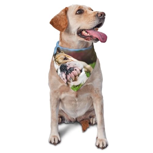 Englische Bulldoggen Müde Hunde Rasen Haustiere EnglishDog Bandanas Katze Welpen Schals Waschbar Haustier Taschentuch von YOFIEN