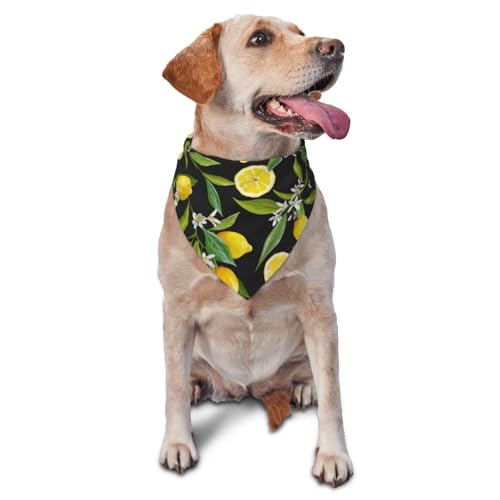 Obst Zitrone PatternDog Bandanas Katze Welpen Schals Waschbar Pet Taschentuch von YOFIEN