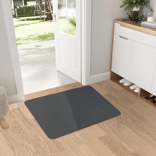 YOFTLUJU Fußmatte innen 3mm Dünn, 50 * 80cm Türmatte für Innenbereich, rutschfeste Absorbierende Schmutzabweisende Eingangsmatte, waschbare fussmatte für die Vordertür, Flache Innenbodenmatte von YOFTLUJU