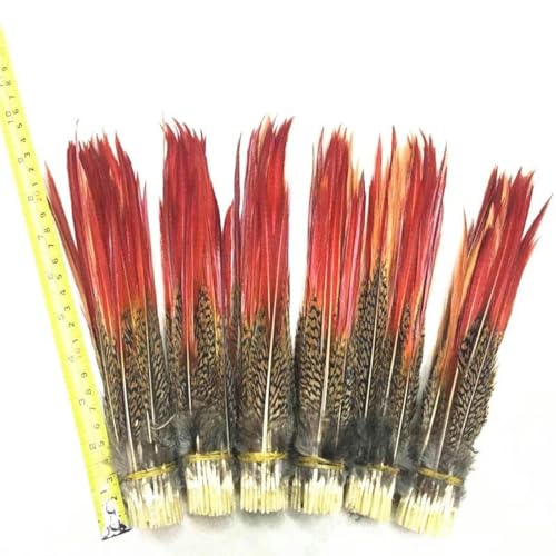 Goldfasan, rote Spitzen, lose Federn, 5–30 cm, rote Schwertfedern zum Basteln, Schmuckherstellung, Federschmuck, Dekoration, 200 Stück, 5–10 cm, 2–4 Zoll von YOGAES