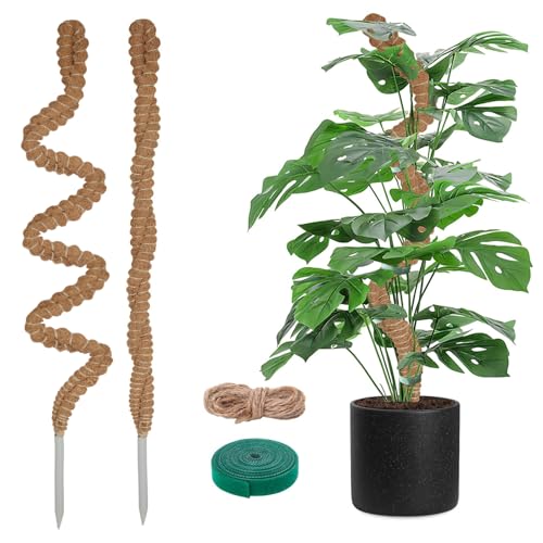 2 Pack Längere Pflanzenstütze - 120cm Biegsame Rankhilfe Monstera für Indoor, Rankhilfe Monstera, handgemachte Coco Coir Pole Pflanze Unterstützung für Creeper Pflanzen wachsen nach Oben von YOGINGO