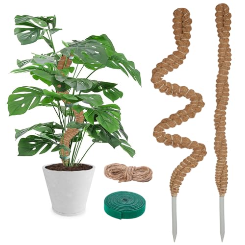 2 Pack Moosstab für Monstera - 60cm Biegsame Pflanzenstütze für Indoor, Rankhilfe Monstera, handgemachte Coco Coir Pole Pflanze Unterstützung für Creeper Pflanzen wachsen nach Oben von YOGINGO