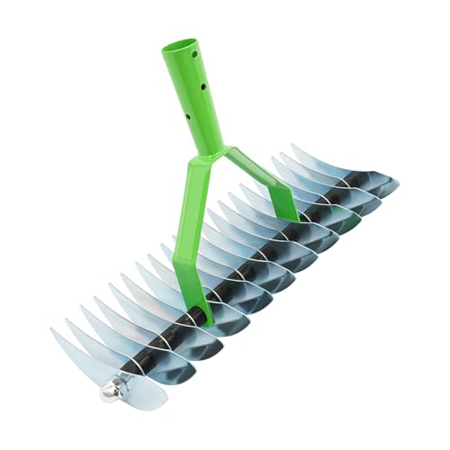 Rasenrechen mit 21 Zinken, 12,8 Zoll Arbeitsbreite, Doppelfunktionsdesign für Rasenpflege und Bodenlüftung, ohne Stiel - Rasenlüfter für Gärten, Hinterhöfe, Parks Rasenrechen mit 21 Zinken, 12,8 Zoll Arbeitsbreite, Doppelfunktionsdesign für Rasenpflege und Bodenlüftung, ohne Stiel - Rasenlüfter für Gärten, Hinterhöfe, Parks von YOICUATGNA