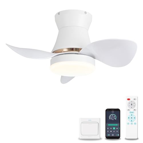 YOLEDY 53cm Mini Deckenventilator mit Beleuchtung Leise, Kleiner Deckenlampe mit Ventilator, Reversibel 3 Blätter, DC Motor, Dimmbar, Speicherfunktion, 6 Geschwindigkeiten, Weiß von YOLEDY