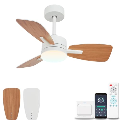 YOLEDY Deckenventilator mit Beleuchtung und Fernbedienung App, Φ75cm Ventilator Lampe Decke Leise, Reversibel Geräuschlos DC Motor, Dimmbar, 3 Flügel Deckenlampe Ventilator für Schlafzimmer von YOLEDY