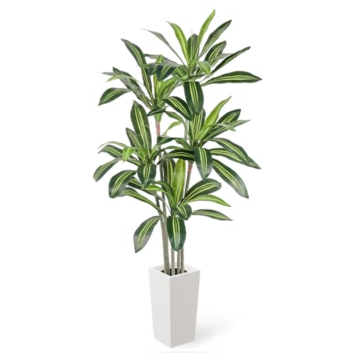 YOLEO Kunstpflane Drachenbaum 160cm, Künstliche Pflanzen Groß, mit weißem Topf, Kunstbaum, Plastike Pflanze, Realistische Dracaena für Wohnzimmer, Büro, Garten, Indoor Dekor, Housewarming Geschenk YOLEO Kunstpflane Drachenbaum 160cm, Künstliche Pflanzen Groß, mit weißem Topf, Kunstbaum, Plastike Pflanze, Realistische Dracaena für Wohnzimmer, Büro, Garten, Indoor Dekor, Housewarming Geschenk von YOLEO