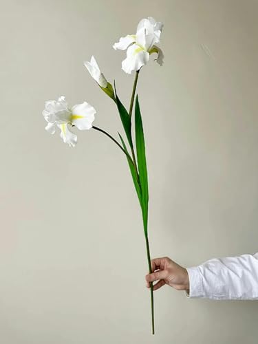 YOLNEY Iris-künstliche Blume, Lange Stiele, Iris-Blume, künstliche Seide, Iris für Hochzeitsdekoration, Heim-Blumenarrangements, Dekor-Iris weiß von YOLNEY