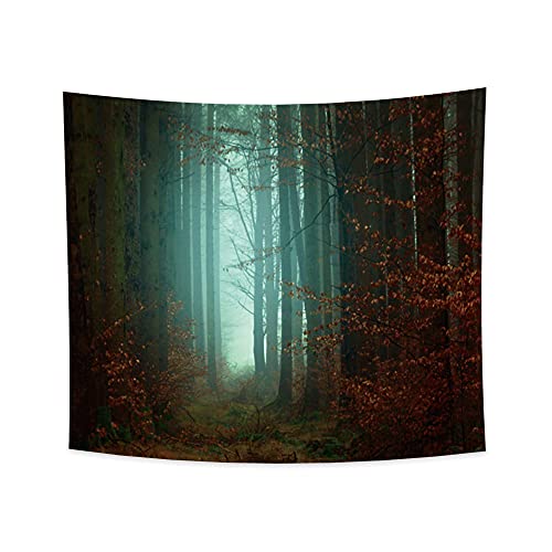 YONGFOTO 180x160cm Wald Wandteppich, Wald Neblig Naturansicht Tapisserie Stout Trunks Verwelkte gefallene Blätter Herbstlandschaft Wandbehang Wandteppich für Wohnzimmer Dekor Schlafsofa Teppichdecke von YONGFOTO