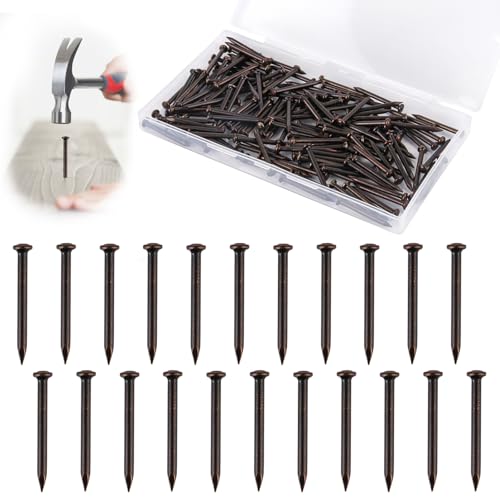 150 Stück Stahlnägel, 30mm Stahlstifte, Hochfeste Nägel Wand, Universelle Bildernägel mit Aufbewahrungsbox für Beton, Ziegel, Putz und Holz (Schwarz) von YONGQING