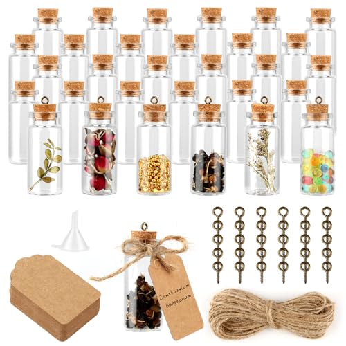 YONGQING 35 Stück Reagenzglas Mit Korken, 10ml Mini Glasflaschen, Kleine Glasflaschen Zum Befüllen(Mit Herzanhänger, Karten, Seil，Trichter) Kleine Glasflaschen Für DIY, Gewürzgläser, Vorratsglas von YONGQING