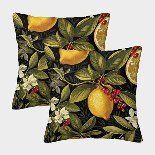 YOPDEOOCR Zitrone Kissenbezüge 2er Set Dekokissenbezug Sofakissen für Sofa Schlafzimmer Gartenbett 40x40cm von YOPDEOOCR