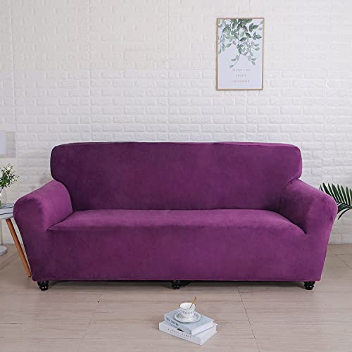 YOPOIY 1 2 3 4-Sitzer Thick Couchbezug, Elastische Sofa überzug Samt Plüsch Sofahusse mit Rutschfesten Trägern Waschbar-dunkellila-2 Sitz 145-180 cm von YOPOIY