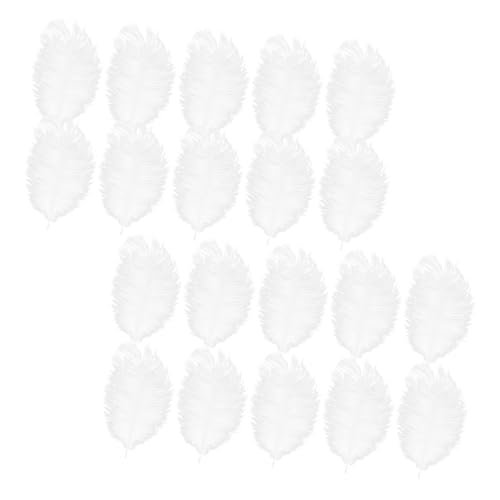 YOSADIER 20 Stück Straußenfeder Partei Federn Lieferungen Kernstück Party Dekorationen groß lang wandverkleidung Wand polsterung wanddeckoration Federschmuck Hochzeit Federn Requisiten Weiß YOSADIER 20 Stück Straußenfeder Partei Federn Lieferungen Kernstück Party Dekorationen groß lang wandverkleidung Wand polsterung wanddeckoration Federschmuck Hochzeit Federn Requisiten Weiß von YOSADIER