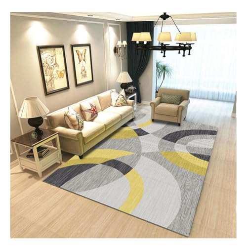 YOUCAI Modern Teppiche Matte Gemustert Luxuriöse Bodenmatte Große Teppich Schlichter Läufer Teppiche für den Innenbereich für Flur und Eingangsbereich Kinderzimmer V59 von YOUCAI