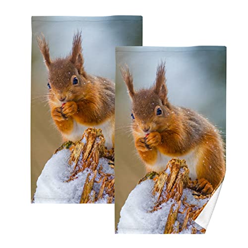 YOUJUNER Handtuch-Set 2er-Pack Eichhörnchen 100% Baumwolle Handtücher Weich Saugstark Baumwolle Duschtücher Gästetücher Dekor Handtücher von YOUJUNER