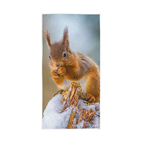 YOUJUNER Handtücher Eichhörnchen Decor Soft Face Handtuch Absorbierende Badezimmer Küchentücher 76 X 38 cm von YOUJUNER