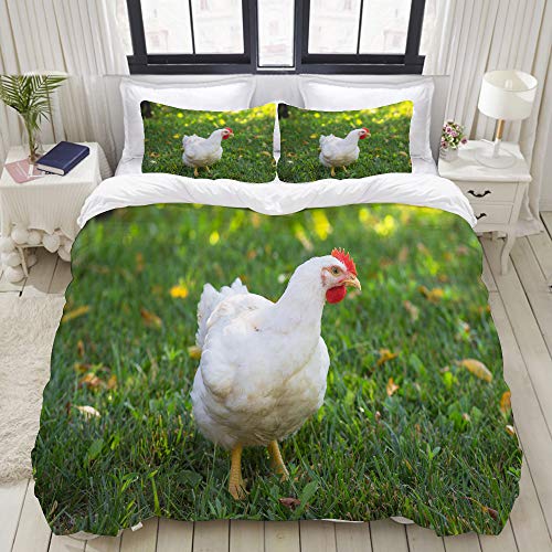 YOUMEISU Bedding Bettwäsche-Set,Rote Broiler weiße Henne auf dem grünen Gras-Huhn-Landwirtschaftsschnabel,Mikrofaser Bettbezug und Kissenbezug - (135 x 200 cm) von YOUMEISU