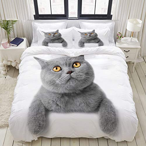 YOUMEISU Bedding Bettwäsche-Set,Studio Grau Kätzchen Katze Weiß Rasse Britisch Kurzhaar Grau Entzückend,Mikrofaser Bettbezug und Kissenbezug - (135 x 200 cm) von YOUMEISU