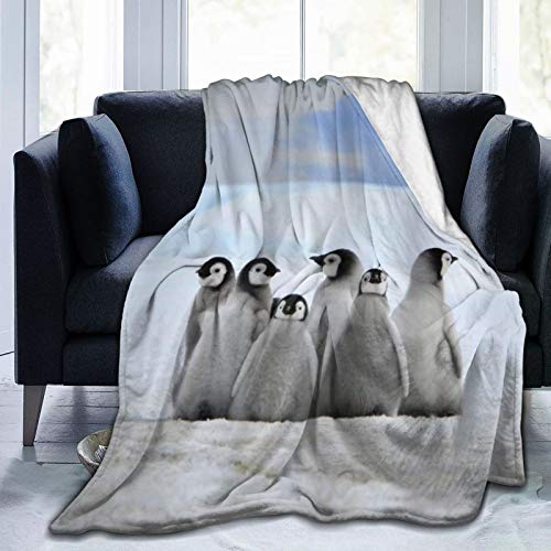 YOUMEISU Kuscheldecke Fleecedecke Flanell Decke Meerestiere Junge Pinguine Bild Hintergrund Mit Schneehaufen Und Winter Himmel Bild Blanket Für Bett Sofa Schlafzimmer Büro 153x204cm von YOUMEISU