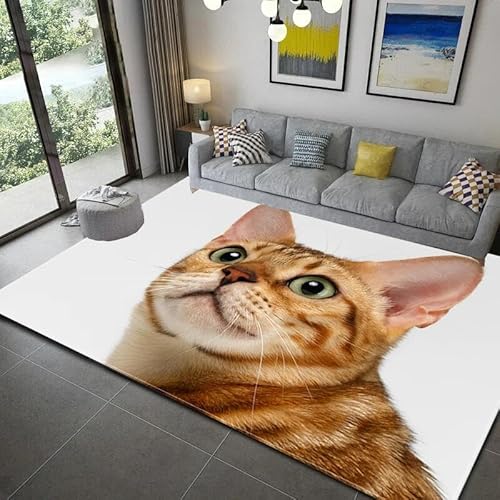 YOUOUSI 3D niedlicher Tierkatzen-Teppich für Wohnzimmer, Schlafzimmer, Teppich, Matte, Bereich, Teppich, Nachttisch, Anti-Rutsch-Matte, Heimdekoration von YOUOUSI