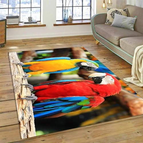 YOUOUSI Bunte Liebe Vogel Papagei Teppich Eingangstür Bodenmatte abstrakte Kunst Türmatte rutschfeste Bodenmatte Wohnzimmer Dekoration Bereich Teppich von YOUOUSI