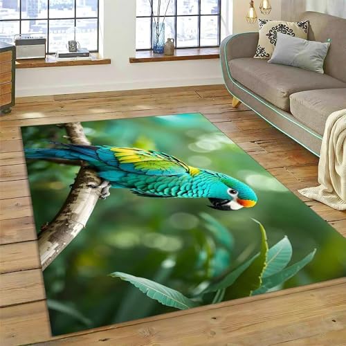 YOUOUSI Tier Vogel Papagei Muster Eingang Teppich Fußmatte Wohnzimmer Teppich rutschfeste Flur Schlafzimmer Badezimmer Bodenmatte Küche Bodenmatte von YOUOUSI