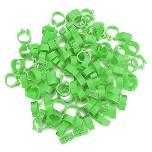 YOUTHINK 100 Stück 8 mm 001-100 nummerierte Taubenringe, Taubenbeinringe aus Kunststoff, Ringe für Beine von Taubenvögeln (grün), grün von YOUTHINK