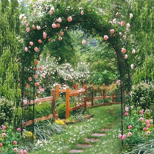 Rosenbogen Torbogen Metall stabil Gartenbogen Pulverbeschichtetem Stahl Rankbogen Hochzeitsbogen Verzinkt 120cm 160cm 180cm 200cm 240cm 280cm 300cm ( Color : Schwarz , Size : 200 Breit x 230cm Höhe ) von YOXALL