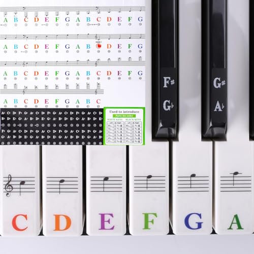 YOYEAH 1 Stück Keyboard Noten Aufkleber für 88/76/61/54/49/37 Tasten - Farbige Klavieraufkleber für Keyboards Piano Kinder Anfänger - Klaviertastenbeschriftung, Notenaufkleber, Keyboard Sticker von YOYEAH