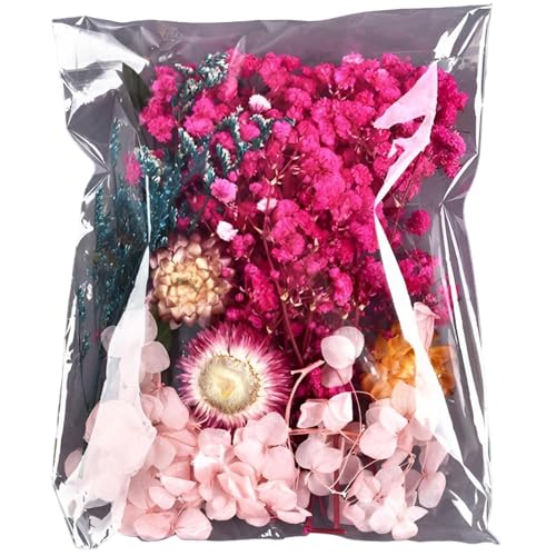 YOYEAH Natürliche Getrocknete Blumen - Trockenblumen Klein Sträuße Set zum Basteln,Lavendel Getrocknet Strauß, Getrocknete Blumen Gepresst, Deko Hochzeitsgeschenk, Tischdeko, Mini Trockenblumenstrauß. YOYEAH Natürliche Getrocknete Blumen - Trockenblumen Klein Sträuße Set zum Basteln,Lavendel Getrocknet Strauß, Getrocknete Blumen Gepresst, Deko Hochzeitsgeschenk, Tischdeko, Mini Trockenblumenstrauß. von YOYEAH
