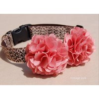 Modernes Leopard Hundehalsband. Haustier-Halsband, Hochzeit Hundehalsband von YOYOPETFASHION