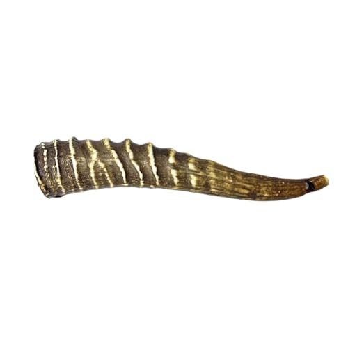 Harzimitation Sambar Hirsch Antlers Cutter Scale Zum Erstellen Eleganter Schwerter Cutter Machen Outdoor Zubehör Harz Geweih von YPBEW