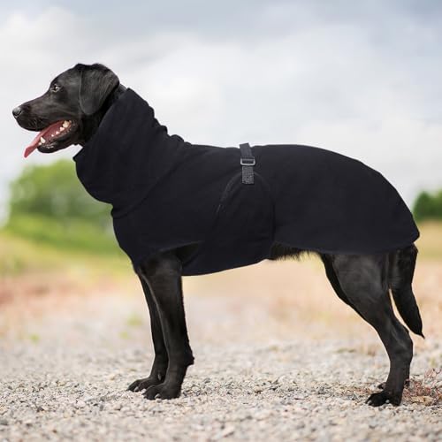Hundekleidung Für Den Winter, Warmer, Wattierter Mantel, Kuschelige Rollkragenjacke Für Hunde, Größe M, Bequemer, Weicher Haustiermantel Mit Verstellbarem Bauchgurt Für Spaziergänge,Schwarz,M Hundekleidung Für Den Winter, Warmer, Wattierter Mantel, Kuschelige Rollkragenjacke Für Hunde, Größe M, Bequemer, Weicher Haustiermantel Mit Verstellbarem Bauchgurt Für Spaziergänge,Schwarz,M von YPDOPORA