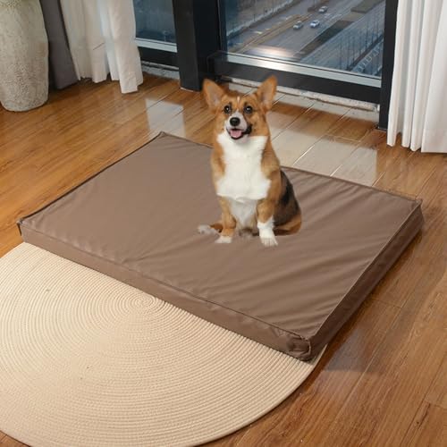 YPDOPORA Hundebetten Aus Leder Für Mittelgroße Hunde, Wasserabweisendes Orthopädisches Hundebett, Orthopädisches Hundebett Aus Memory-Schaum Mit Waschbarem Bezug Und Rutschfester Unterseite,Braun,S von YPDOPORA