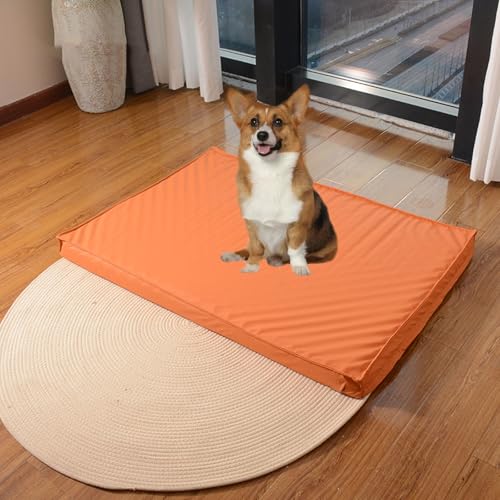 YPDOPORA Hundebetten Aus Leder Für Mittelgroße Hunde, Wasserabweisendes Orthopädisches Hundebett, Orthopädisches Hundebett Aus Memory-Schaum Mit Waschbarem Bezug Und Rutschfester Unterseite,Orange,S YPDOPORA Hundebetten Aus Leder Für Mittelgroße Hunde, Wasserabweisendes Orthopädisches Hundebett, Orthopädisches Hundebett Aus Memory-Schaum Mit Waschbarem Bezug Und Rutschfester Unterseite,Orange,S von YPDOPORA